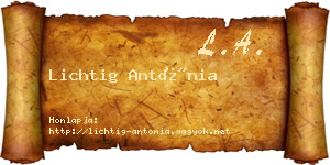 Lichtig Antónia névjegykártya